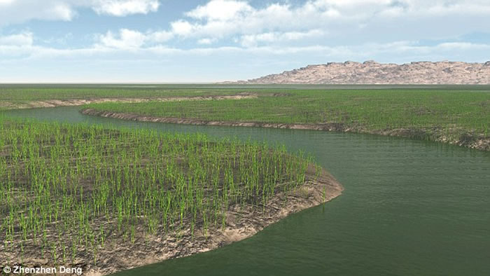 ����ά��ֲ���Ŵ��ṩ����������и�������֤��