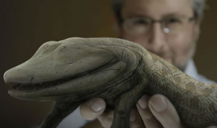 ���о�̽����׵��������гɶԸ�֫��Դ���Ŵ�����