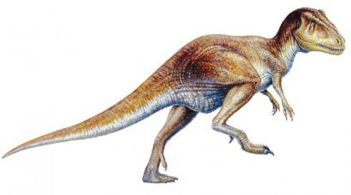 和平永川龙(丙烯)