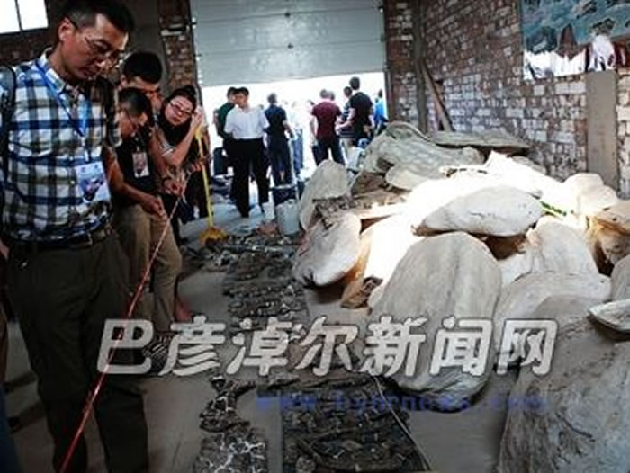 ר��ѧ�߲ι��޸��ֳ�