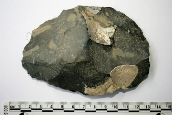 25����ǰ��������Լ����������������������Զ��ӻ�����ǿ����Ӧ��