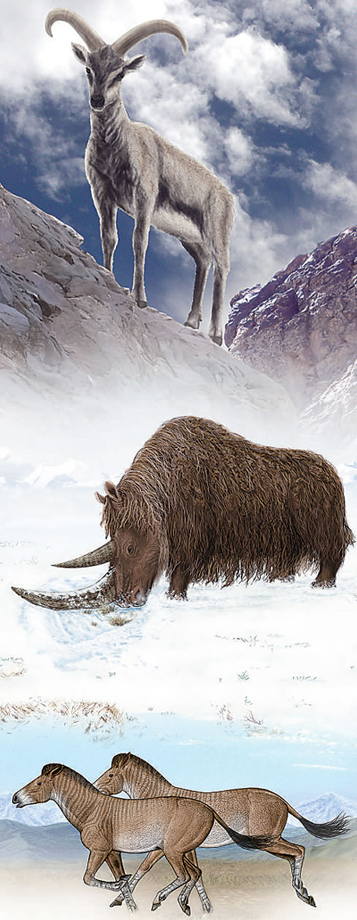 ���ϵ�������Ϊϲ������ԭ��������ëϬ��������ֺ���ĸ�ԭͼ�����п�Ժ�ż�׵����ͼ ��ͼ�������ģ�