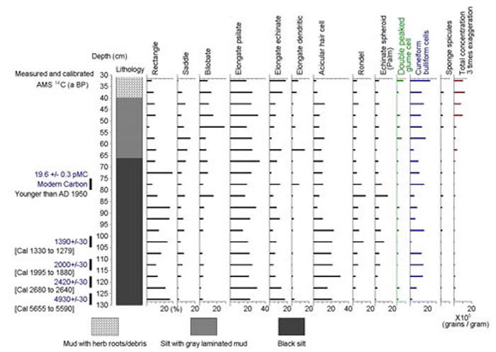 ���ϵ�����WN1���ֲ����ͼ�ף�������ͼ��