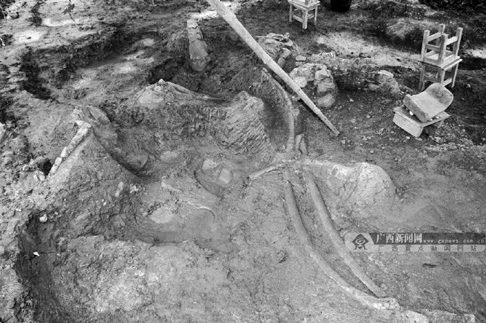 ����������ɽ������������ٴη��ֿ�����ʯȺ