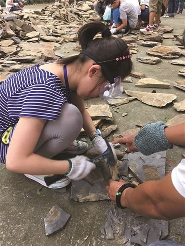 ���������һ�ʯ