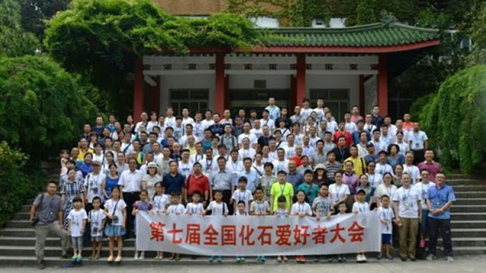 ���߽�ȫ����ʯ�����ߴ��