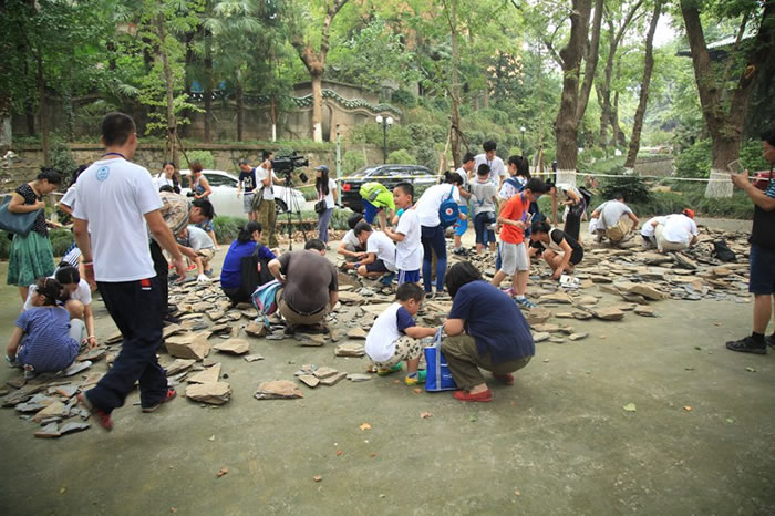 �����������ֳ�