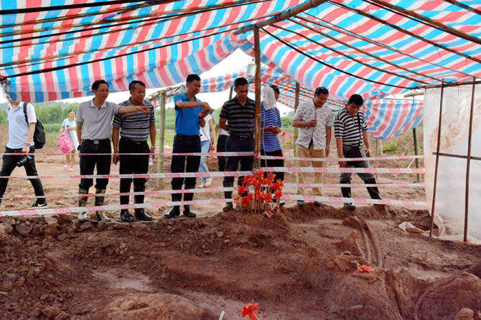 ����׳�������������������鵽�����ص��п�����ʯ��������