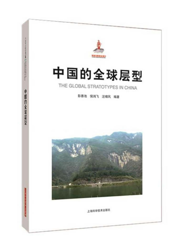 ���й���ȫ����͡�ר����ʽ����