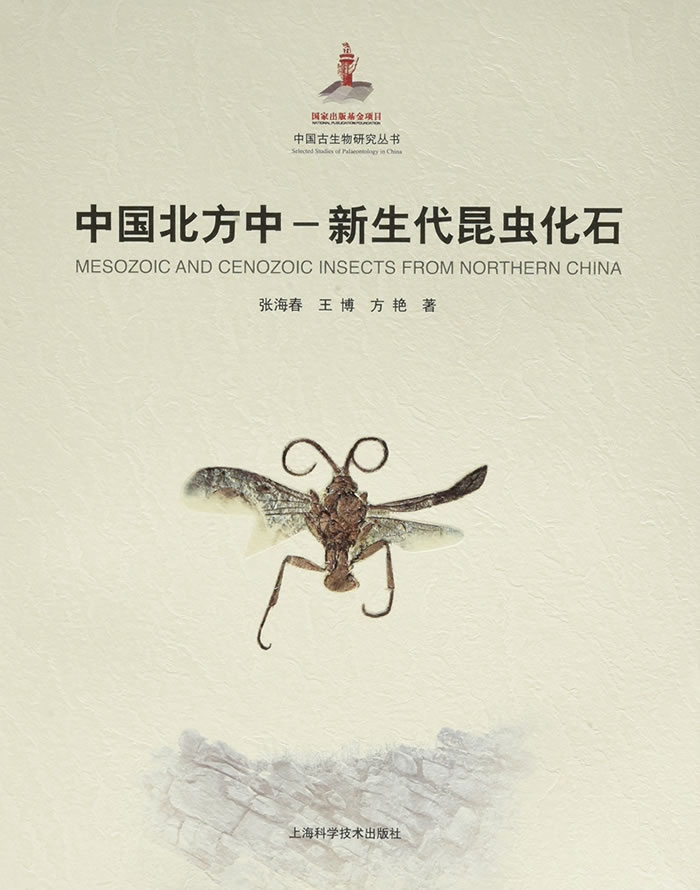 ���й�������-���������滯ʯ��ר������