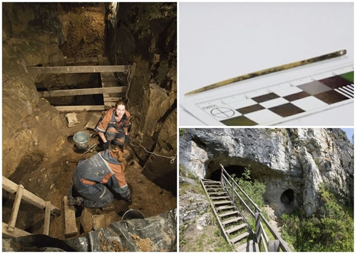 ������Ա�ڵ������߶��ڣ��󣩣����ֹ��루���ϣ���