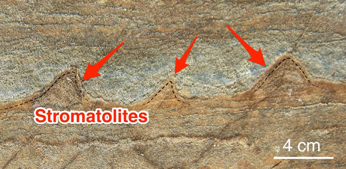 ����������ʯ�з��ֵ�������ϻ�ʯ����37����ǰ����ʯ