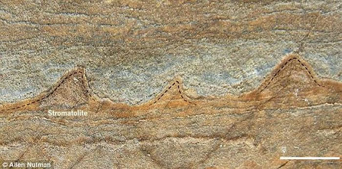 ����������¶��ʯ��Ƕ��1.2-2.8���׸ߵ�΢Сͻ�����������Զ��΢�����γɵ�����ϻ�ʯ֤�ݣ����37����ǰ�������ҡ������ṩ�˵�������������ʽ����Ҫ������