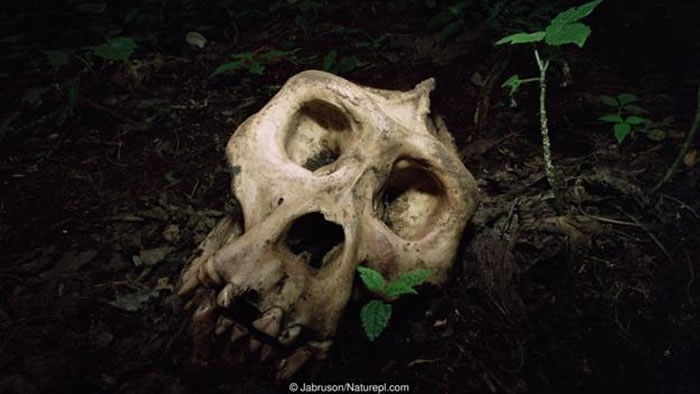 ����Խ�󣬲������Ĵ��Ծ�ҪԽ��