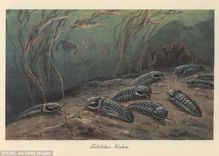 �ڡ�������-����������¼���֮�������ĸ��չ��̴�Լ������500~900����֮�á��ڴ˴����ص�����¼��У������Ϻ���������96%�Լ�½�������Ĵ�Լ70%����ʧ��