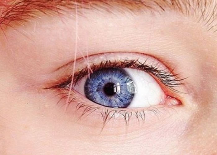 ����籾������ѧ�о�ָ�������۾����˶���Դ��ͬһ������