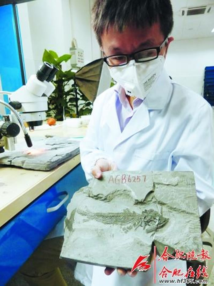 ����ʡ���ʲ�������޸�������ʯ