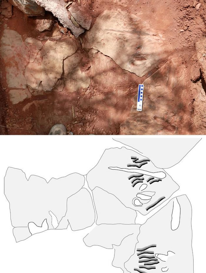 ����ɽ��Ŀ�����Ӿ�㼣