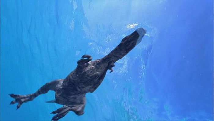 ������Ӿ������ͼ