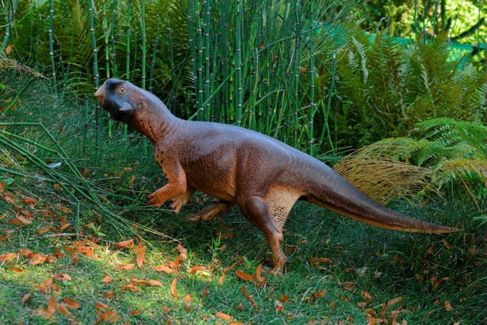 英国科学家在化石中发现一种可变色的恐龙——中国鹦鹉嘴龙