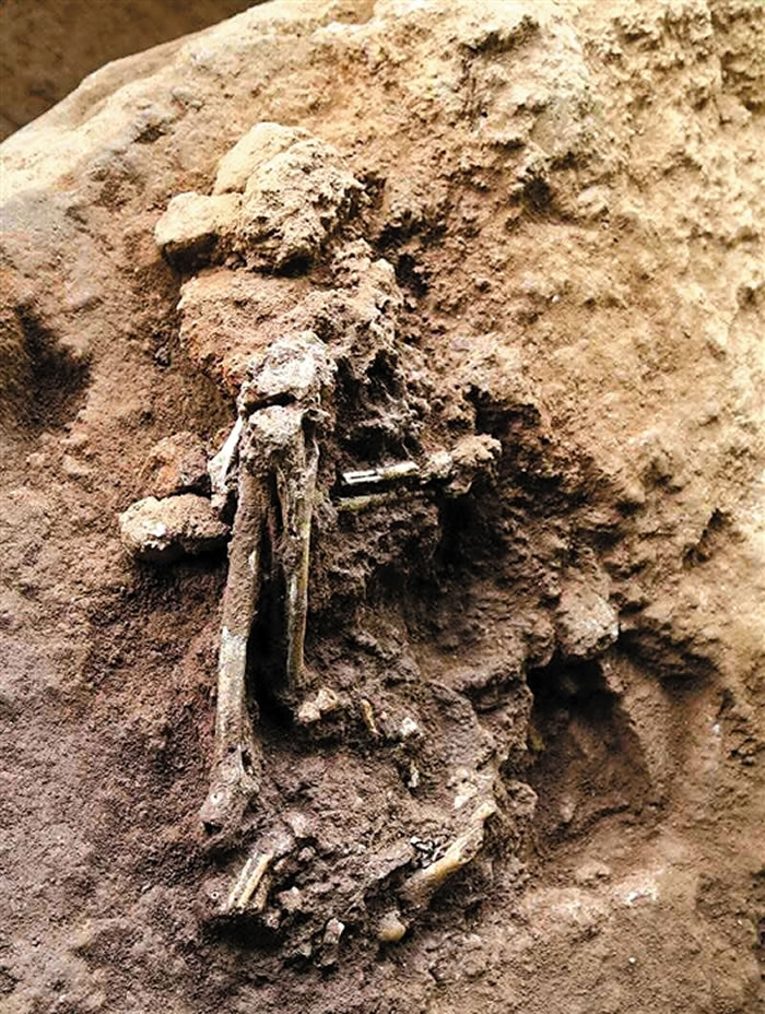 �㶫ʡӢ���������������1�Ŷ�����1�����ǰ�����������໯ʯ