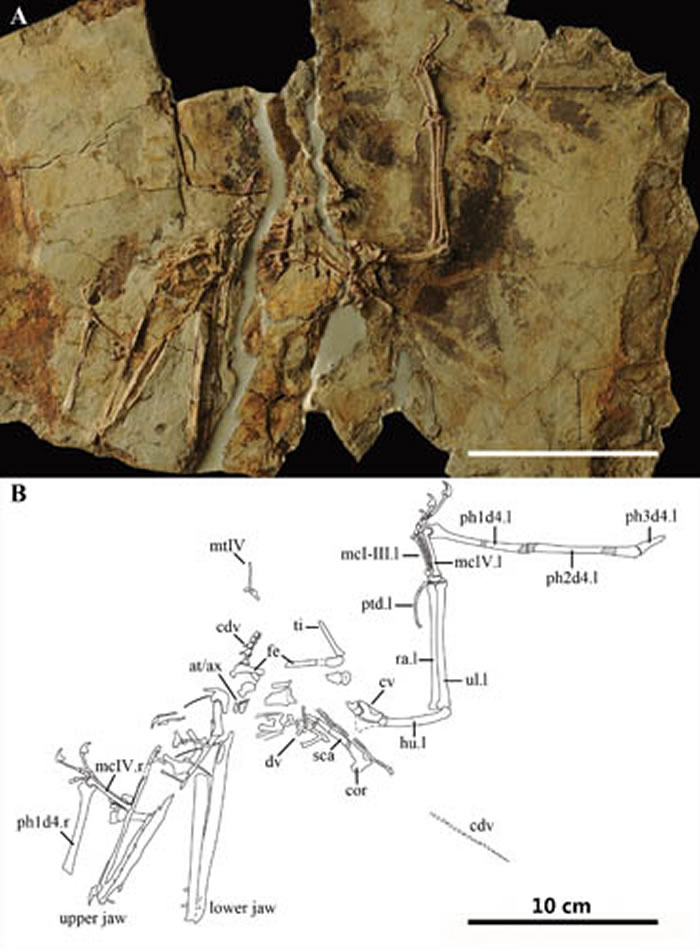 ����������²��ϼ�������ͼ ����˳�ˡ������ֹ�ͼ��