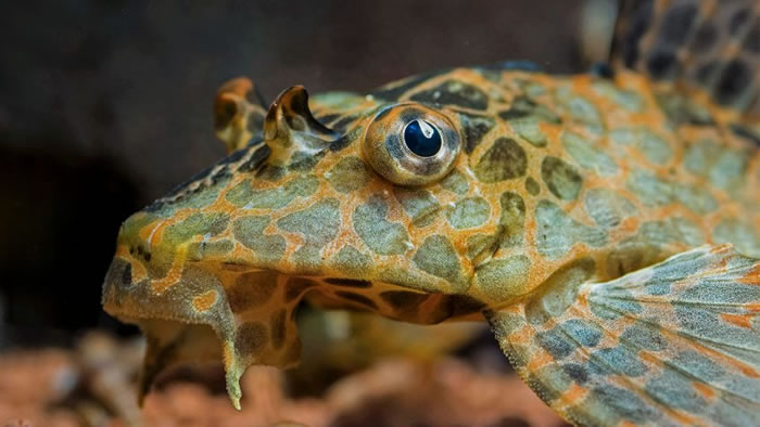 �о���Աһֱ���������������ν����������Ծ��˵����͡�