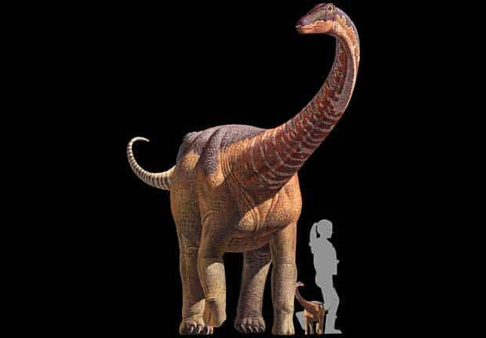 �ɹ�-�ձ����Ͽ�������ɹŹ����ɳĮ�ھ��106���׳������㼣��ʯ