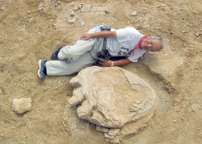 蒙古戈壁沙漠发现长106厘米的泰坦巨龙脚印化石