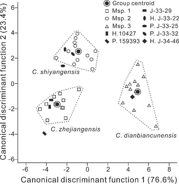 ףլɺ̬ɽɺģʽֵб
