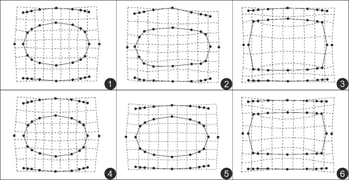 ףլɺ̬ɽɺģʽֵı