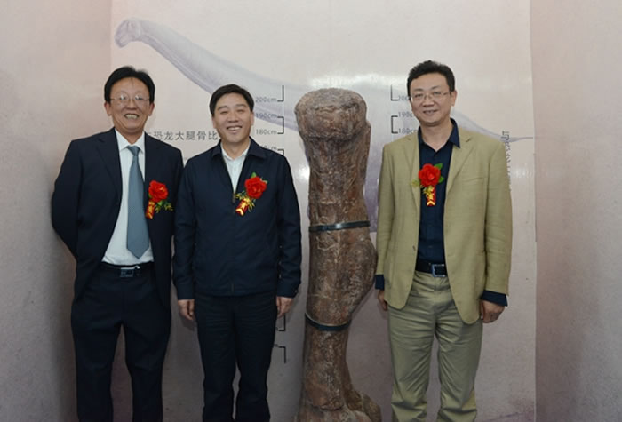 甘肃农业大学举行古脊椎动物研究所揭牌暨“盛氏彤笙龙”命名仪式