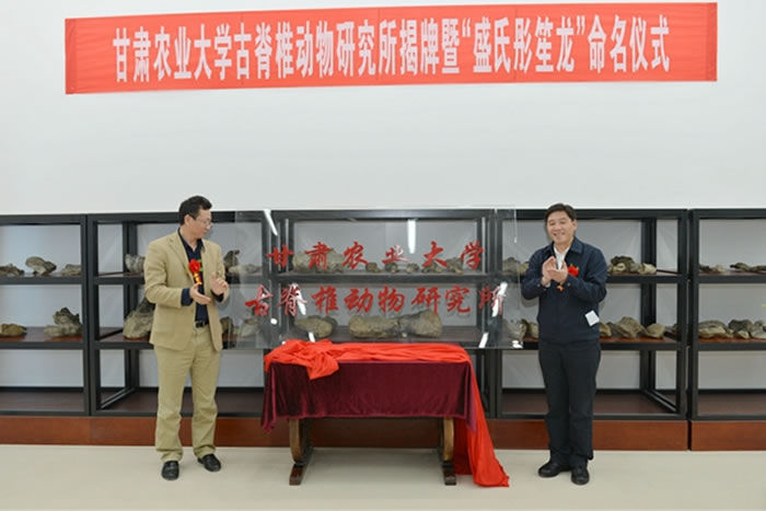 (神秘的地球uux.cn报道)据甘肃农业大学(韩越 许璐 张对对 陈玉平 毛毅):10月9日下午,甘肃农业大学古脊椎动物研究所揭牌暨“盛氏彤笙龙”命名仪式在认知