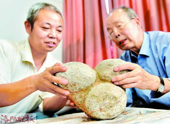 �����й����ﻯʯ�Ǽ��걨�������� �����걨����ȫʡ��λ