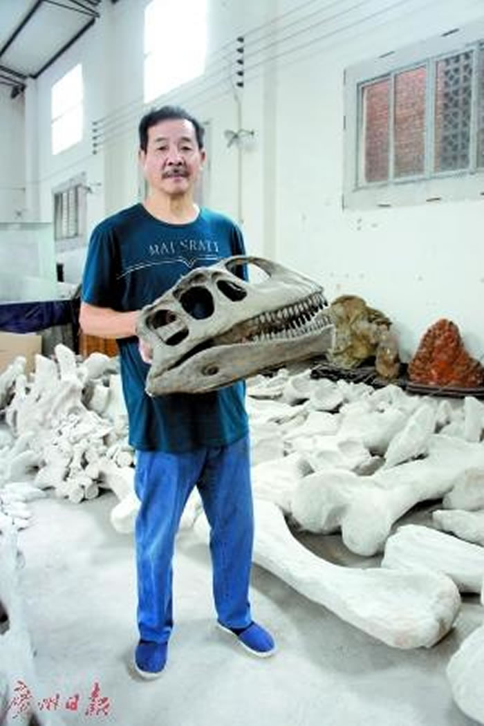 �����֡�