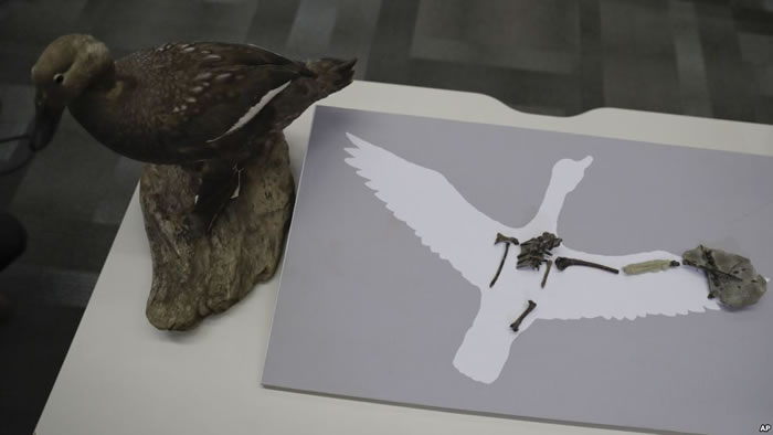 ������������෢�����٣��ϼ��޷���6800����ǰά�������ܻ�ʯ�к�