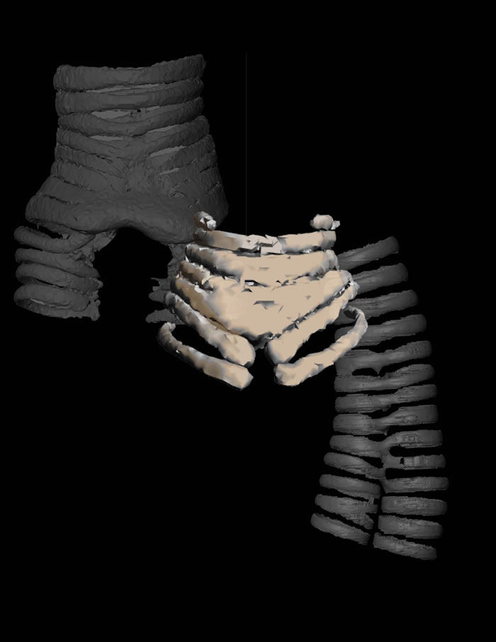 ������������෢�����٣��ϼ��޷���6800����ǰά�������ܻ�ʯ�к�