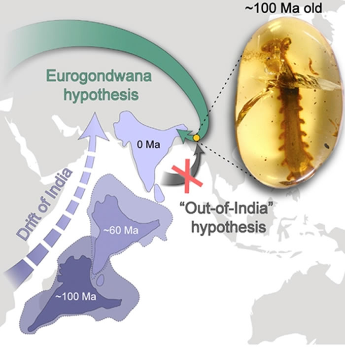 �βϵ���ʷ�������ѧǨ��ģʽ