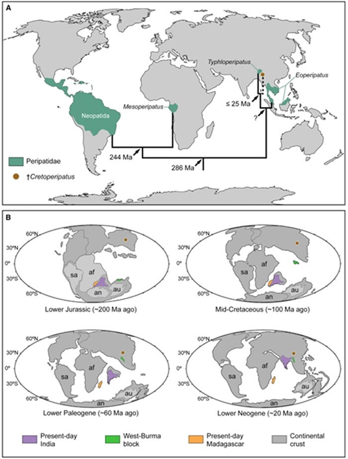 ����βϵ�ϵͳ��λ��Ǩ����ʷ