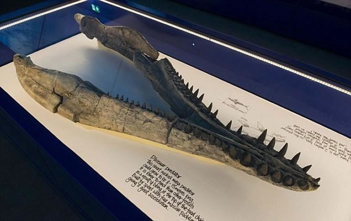 Ӣ������30����䷢����2500����ʯ ����ר�Ž������չ��