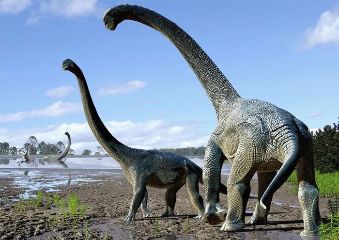 澳洲公布距今一亿年白垩纪恐龙新物种：Savannasaurus elliottorum