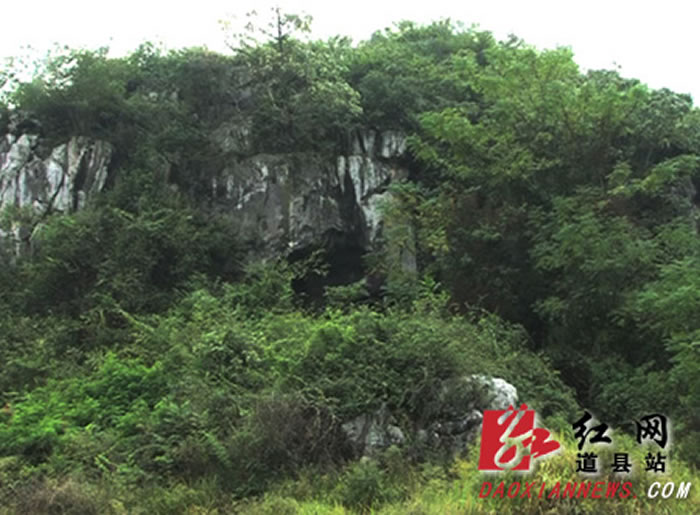 ���������������綴β��