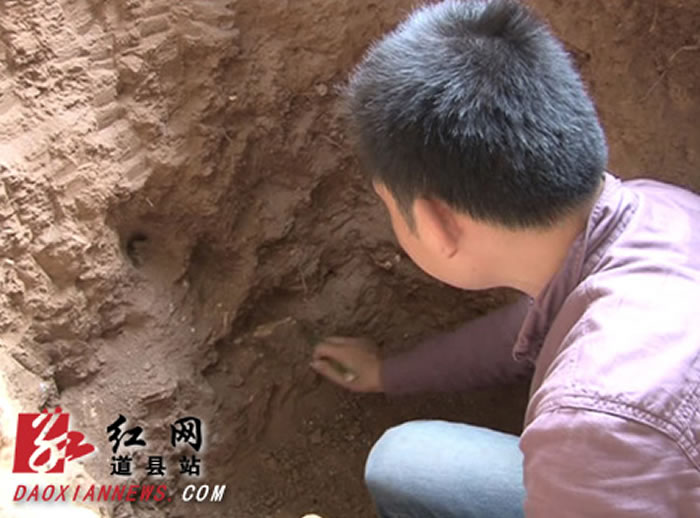 ����ʡ���������ϵ����鹤����Ա�ڿ����ھ�