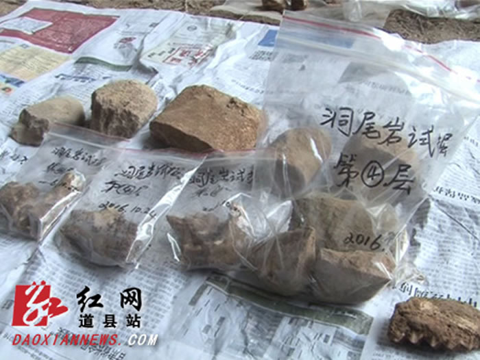 ����ʡ���������ϵ����鹤����Ա�Ծ�ĵ����������