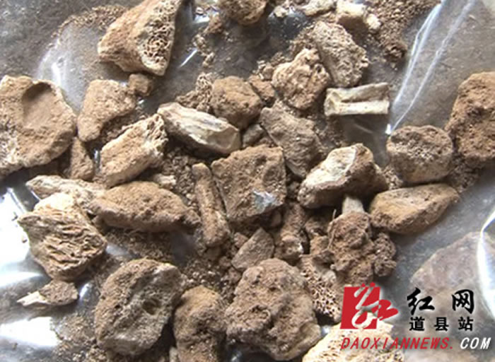 �ڶ�β�ҿ����ھ�ľ�ʯ���������Ͷ��ﻯʯ