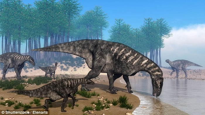 英国南部海滩发现1.3亿年前白垩纪早期恐龙头骨软组织化石