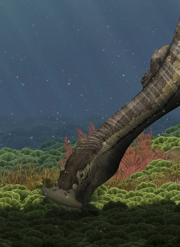 й˳ѡPLoS2016ȡʮż׵﷢֡