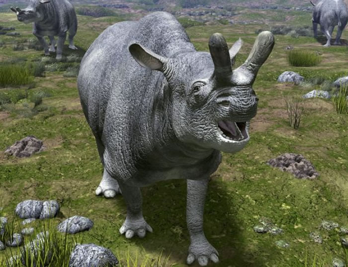 ʼ����ʱ�ڼ�֤�����޵Ȳ��鶯��Ĵ�չ��