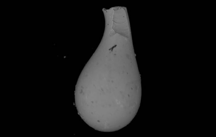 ����΢������ʯӦ��������ײ��������ۻ��Ĳк��ɽ�����������̶��γɵ�