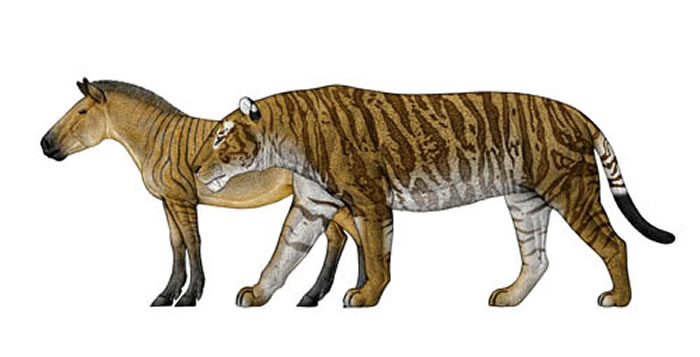 �ֽ��ݻ�������Ҫ����ƽ����ֺ�������ͶԱȣ���褻棩